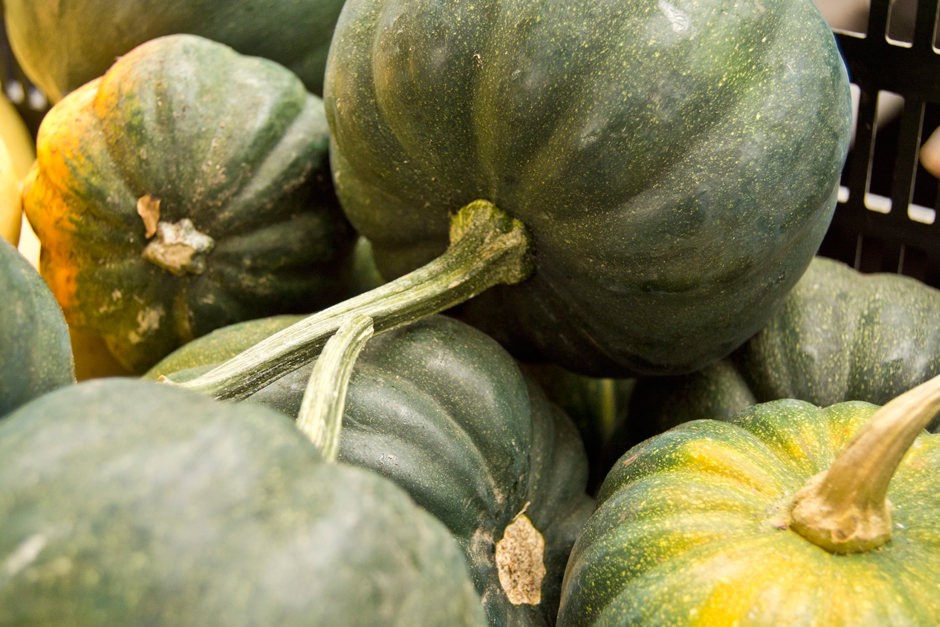 AcornSquash (1)