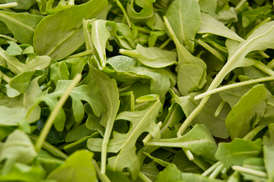 Arugula (1)
