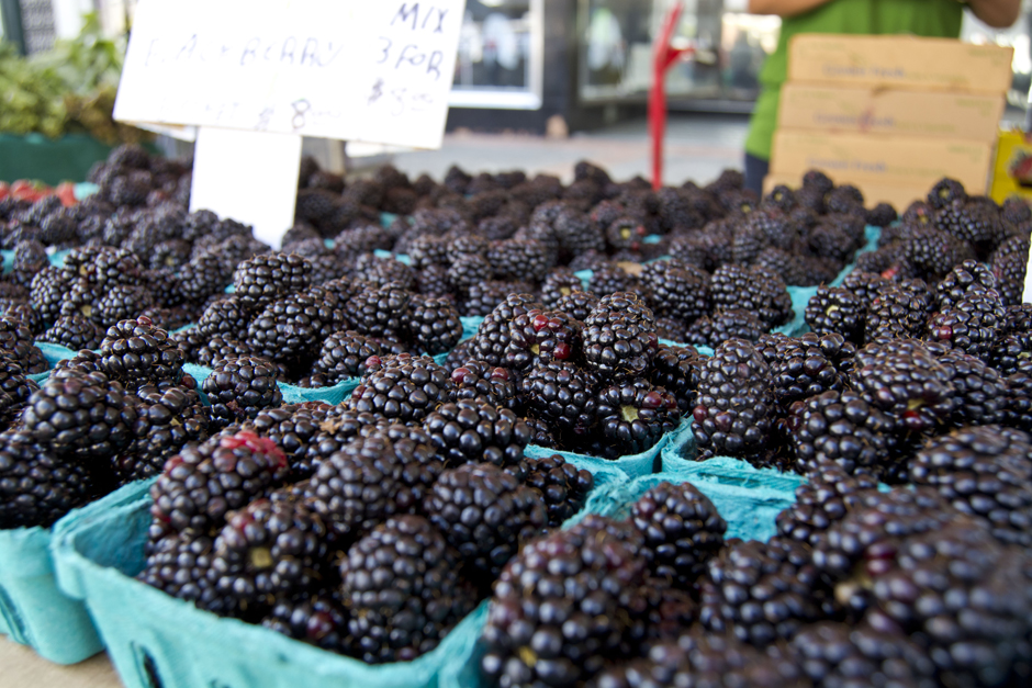 Blackberries (1)