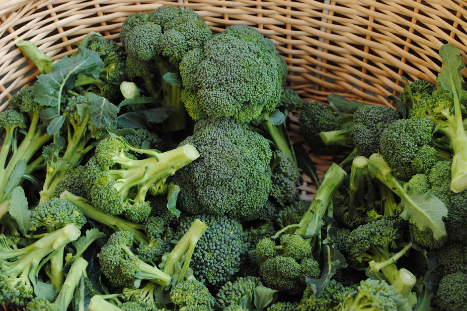 Broccoli (1)