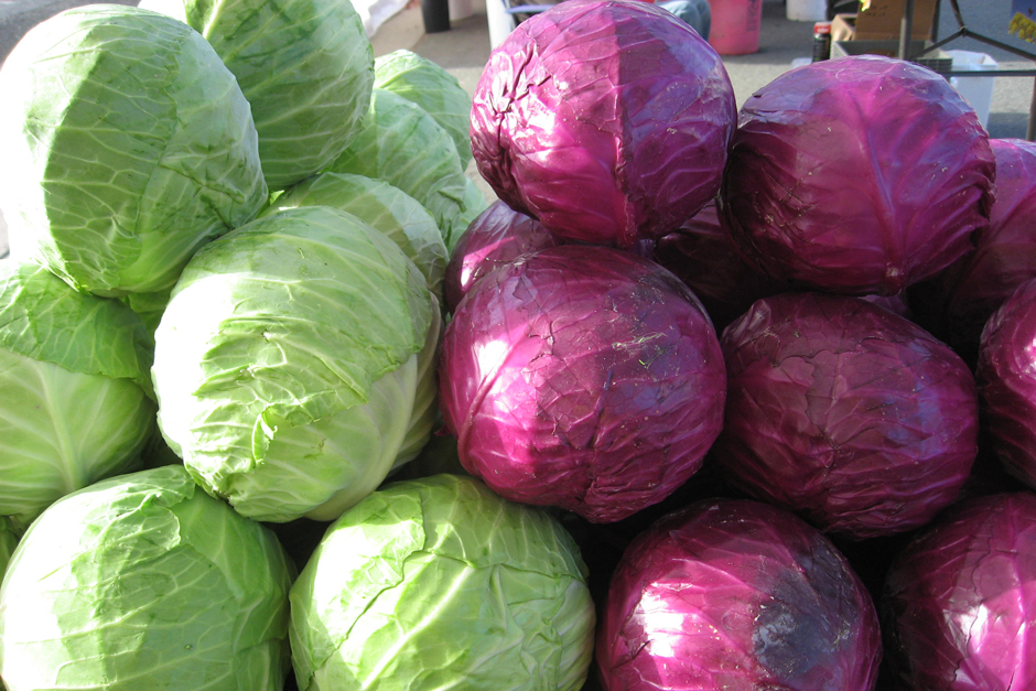 Cabbage (1)