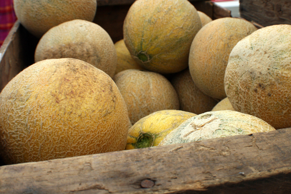 Cantaloupe (1)