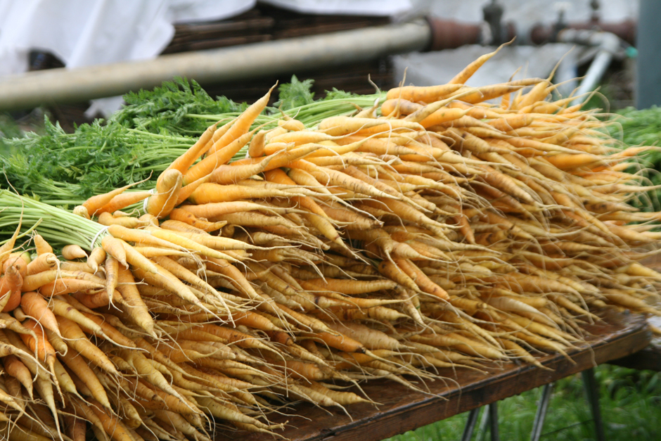 Carrots (1)