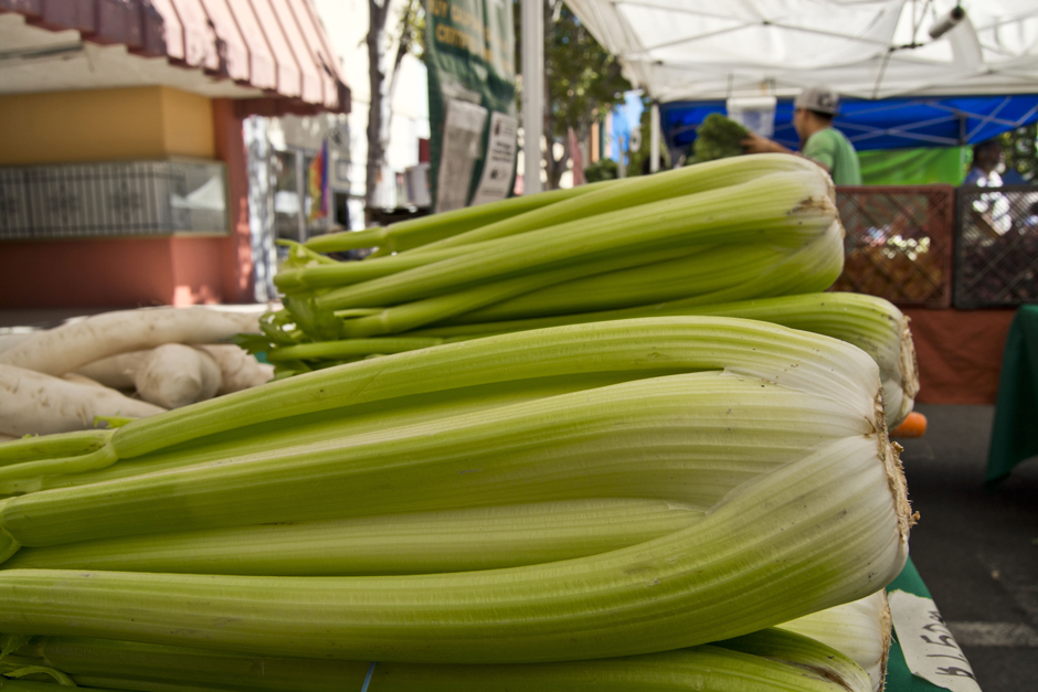 Celery (1)