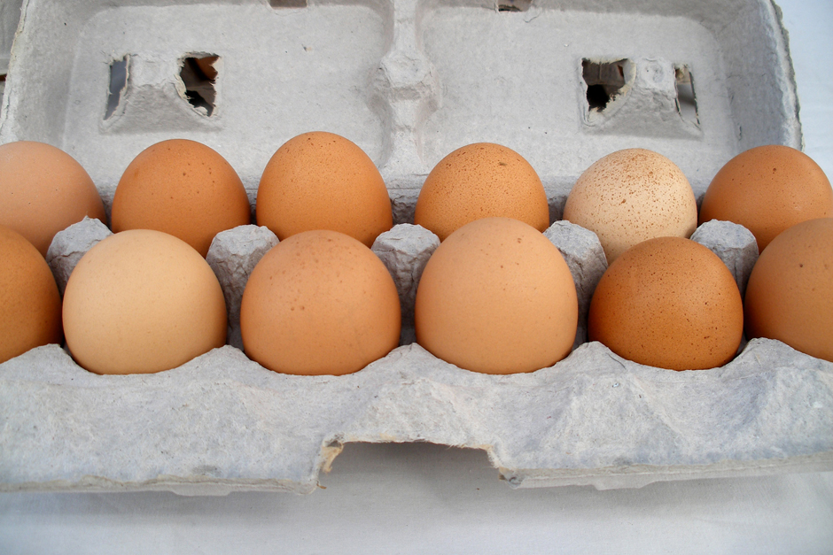 Eggs (1)