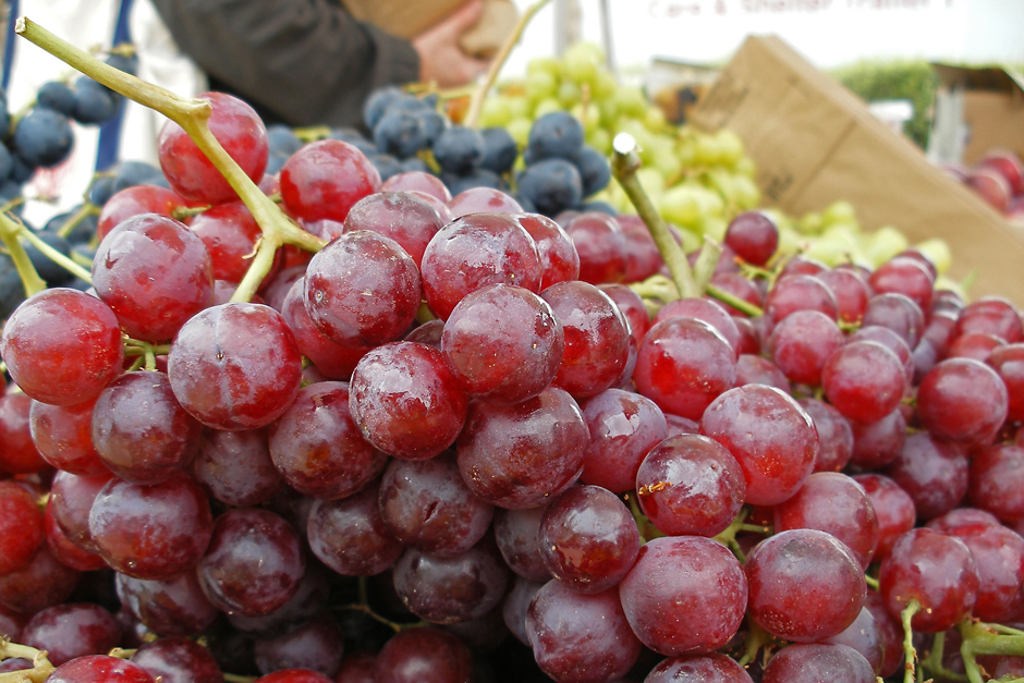 Grapes (1)