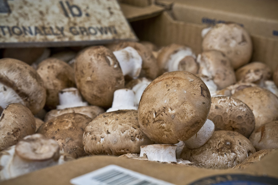 Mushrooms (1)