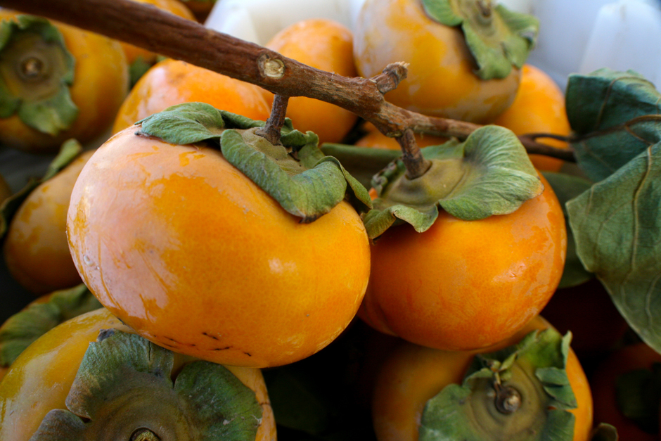 Persimmons (1)