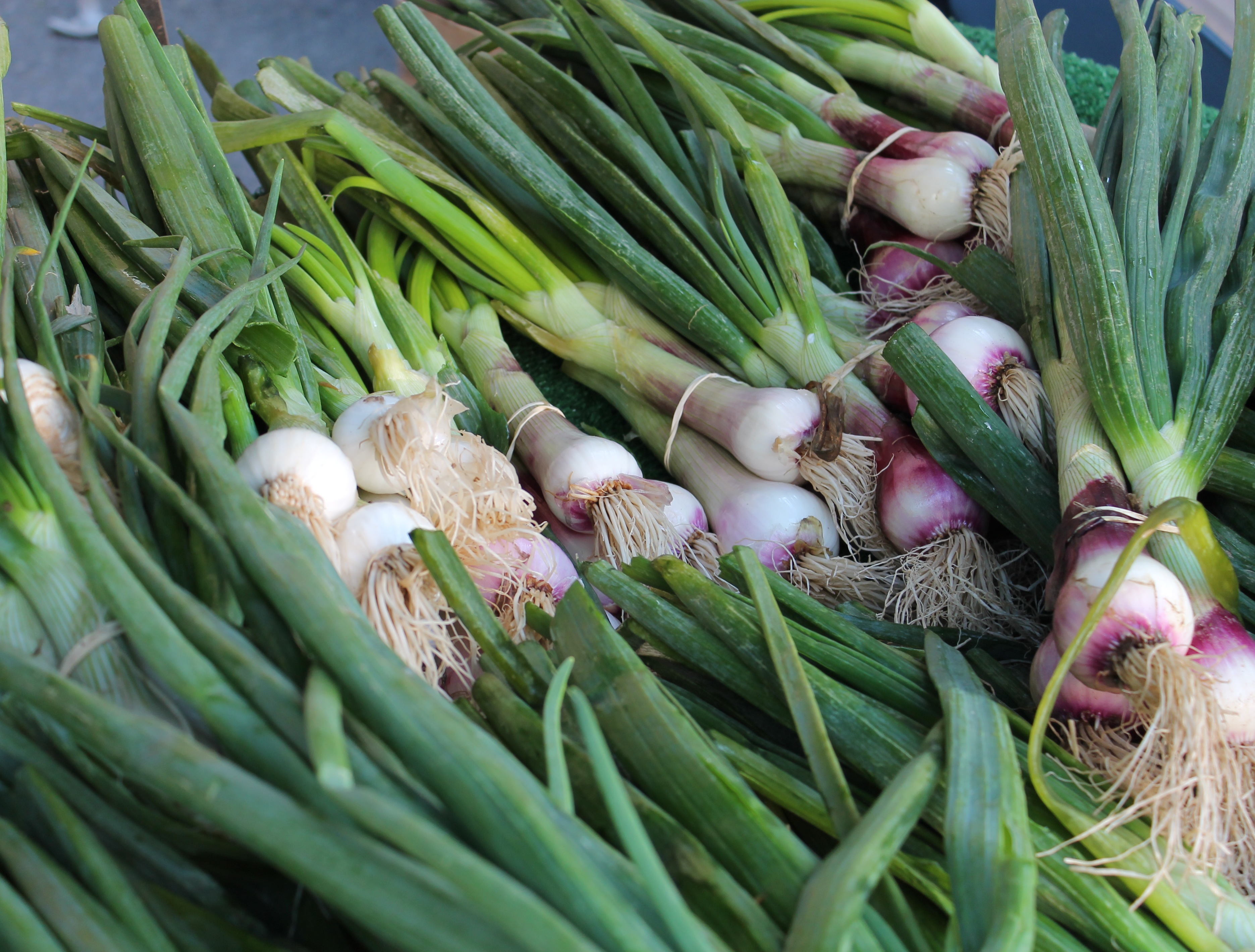 green garlic