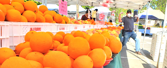 Farmers' Markets