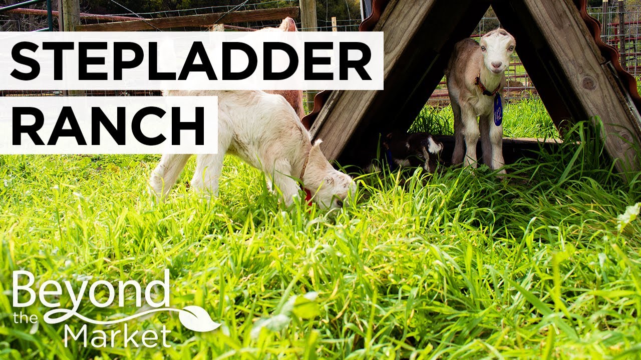 Touring Stepladder Ranch | PCFMA