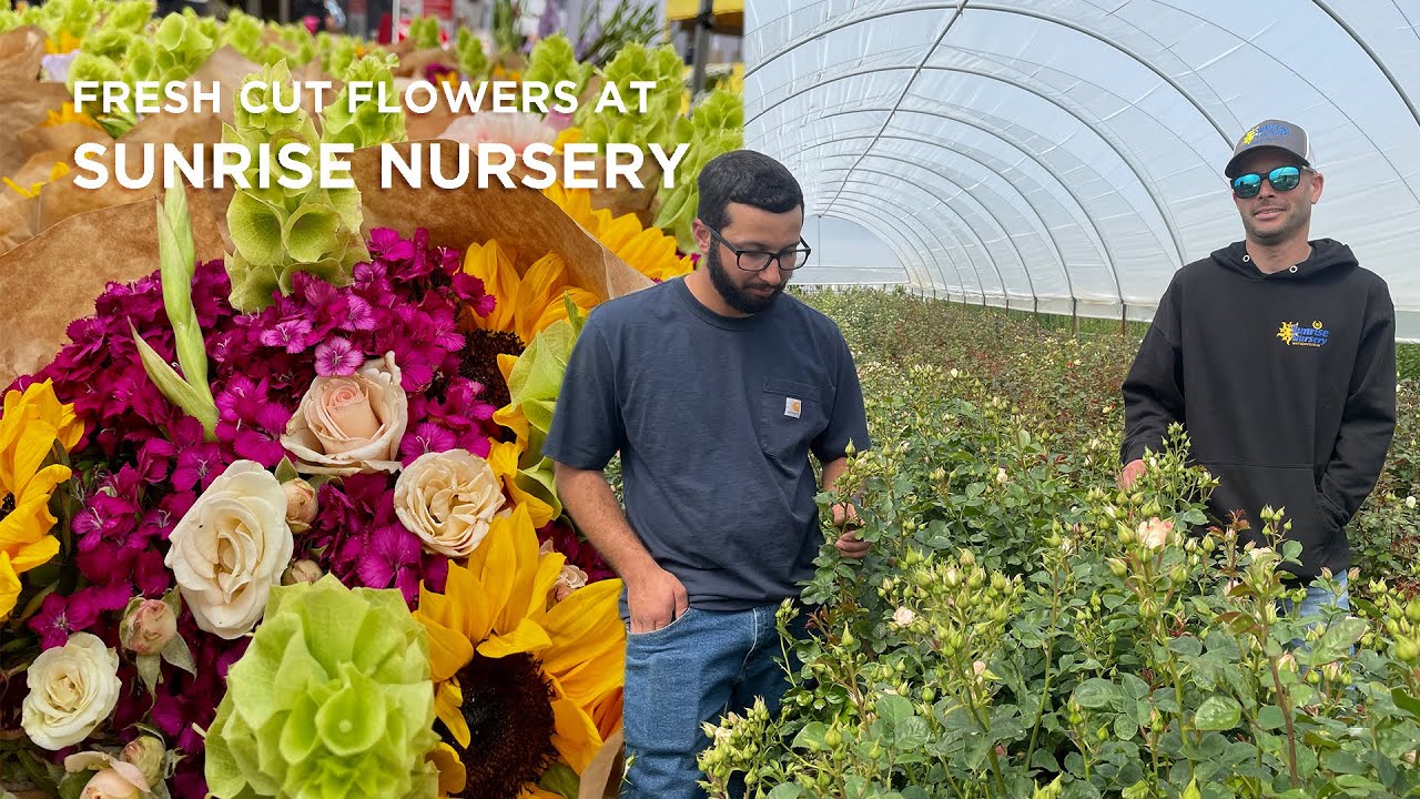 The Family Behind Sunrise Nursery PCFMA the-family-behind-sunrise-nursery-pcfma