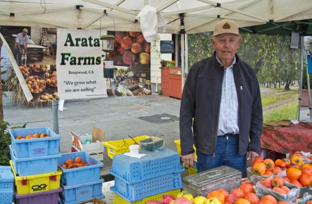 Arata Fruit