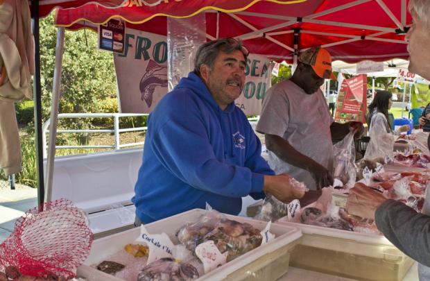 Public markets: The heartbeat of our cities - Evergreen