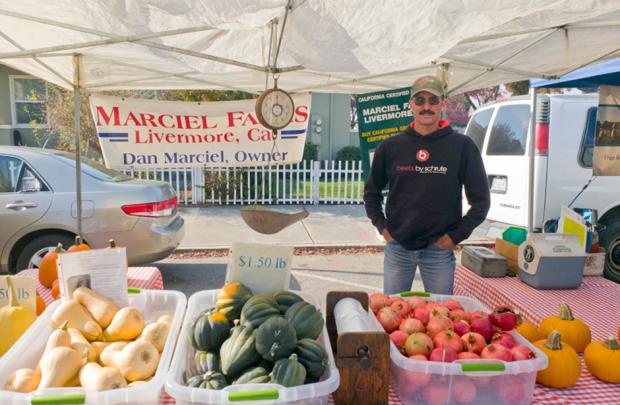 Marciel Farms