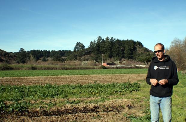 Blue House Farm