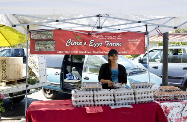 Clara's Egg Farm