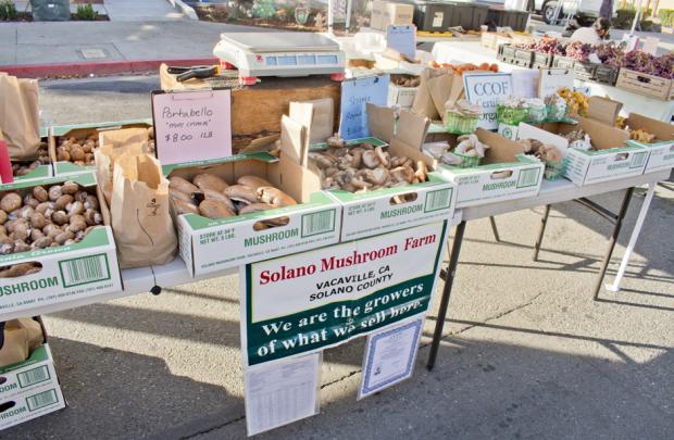 Solano Mushroom Farm