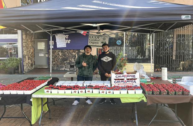 Friendly Kem Farms workers pose behind strawberries