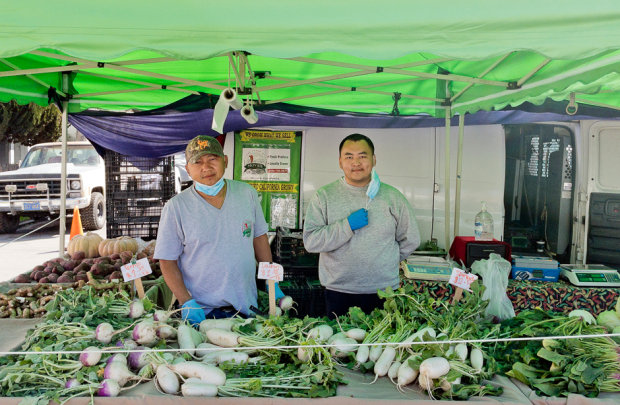 Mova's Farm workers at stall