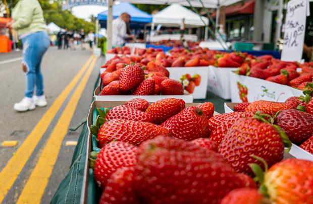 Strawberries Fairfield Farmers' Market
