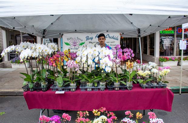 Bay Area Orchids vendor at stall surrounded by orchids