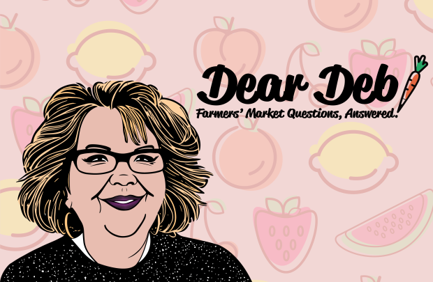 orange dear deb header