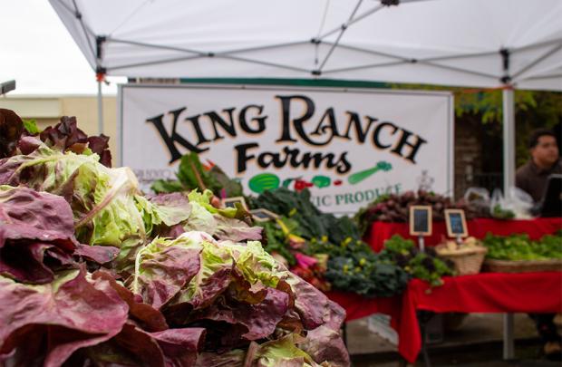 King Ranch certified organic greens near sign