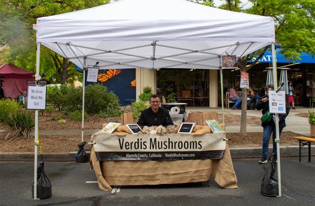 Verdis mushrooms at the market