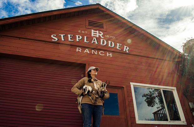 Stepladder Ranch & Creamery