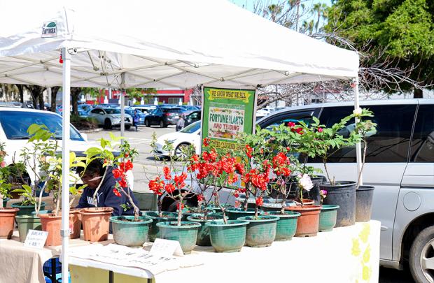 The Fortune Plants booth at the Milpitas Farmers' Market