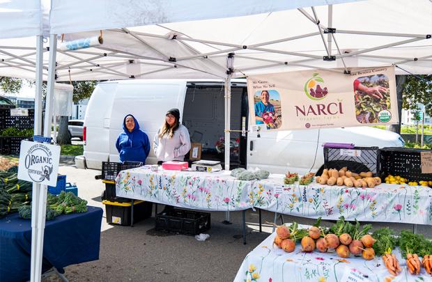 The Narci Organic Farm booth at the Milpitas Farmers' Market