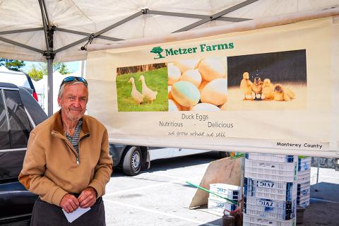 Metzer Farms