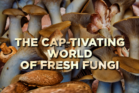 The Cap-tivating World of Fresh Fungi
