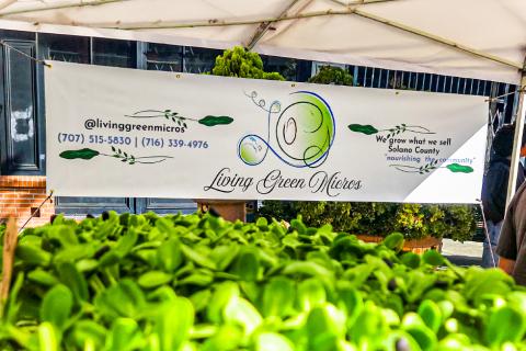 Living Green Micros