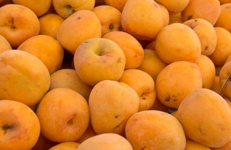 Apricots (1)