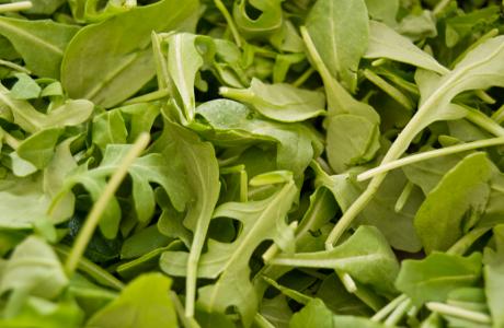 Arugula (1)