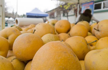 AsianPears (1)