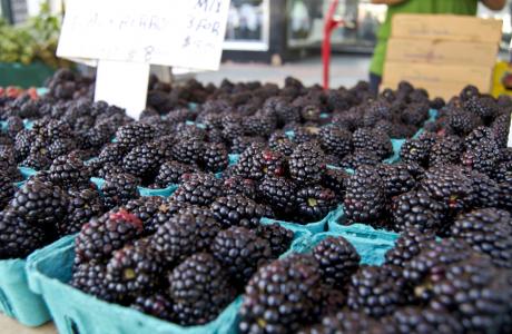 Blackberries (1)