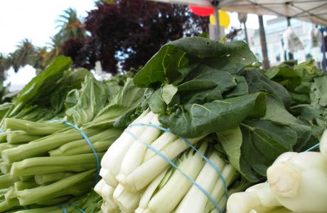BokChoy (1)