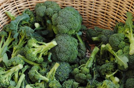 Broccoli (1)