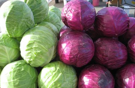 Cabbage (1)