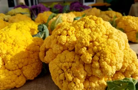 Cauliflower (1)