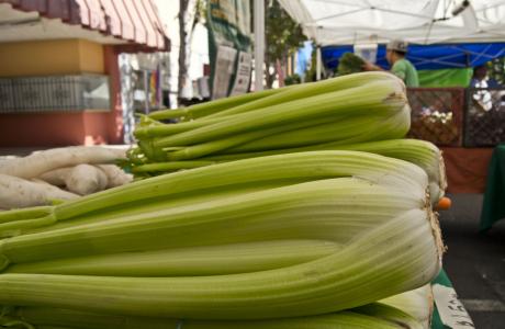 Celery (1)