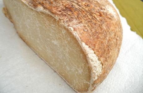 Cheese (1)