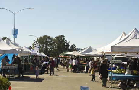 College of San Mateo