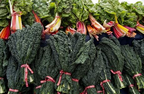 Kale (1)