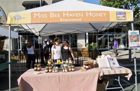 Miss Bee Haven Honey