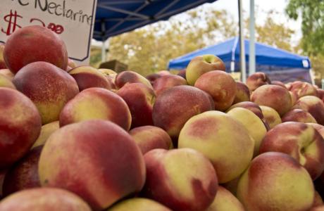 Nectarines (1)