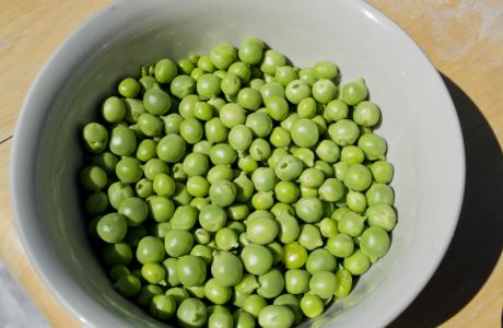 Peas (1)